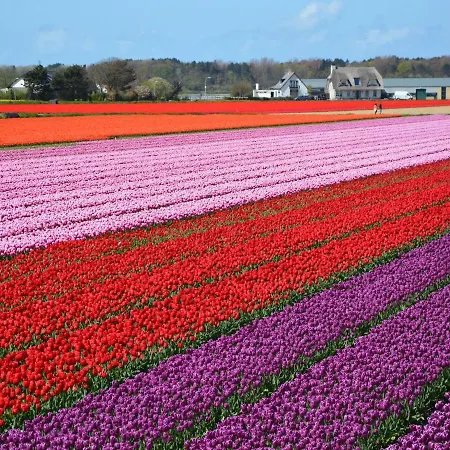 Quaint Holiday In Noordwijkerhout Near Lake * 노르트베이크